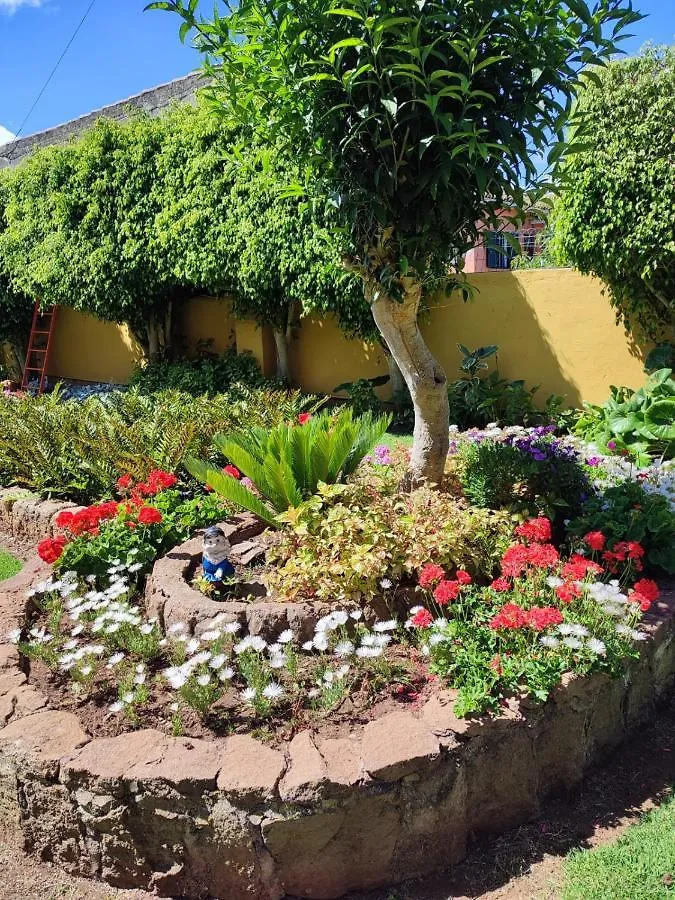 Villa La Chimenea Verde à Tacoronte Espagne